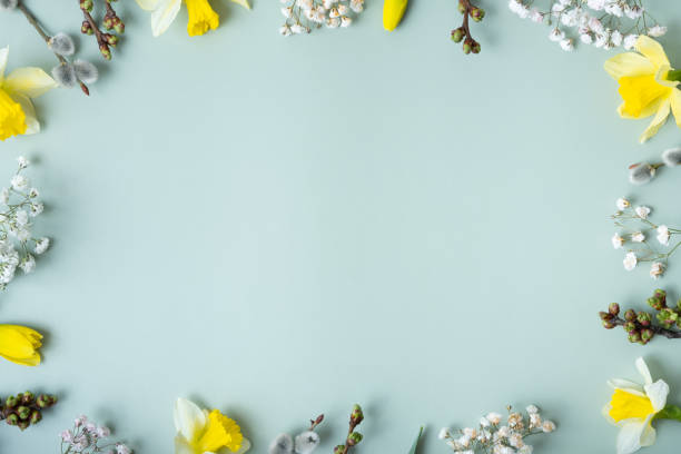 istock Spring flat lay composition on pastel green background with copy space. Daffodils and willow top view 1478306556