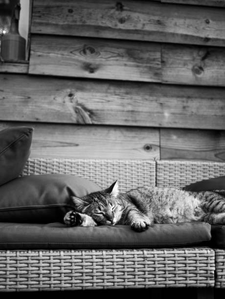 Sleeping time