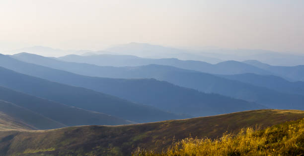日の出の濃い霧の中の山の谷の接写、早朝の山の風景