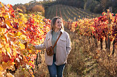 Portrait of a woman in the vineyard during autumn day