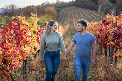 Portrait of a young happy couple walking and holding hands in the vineyard during autumn day
