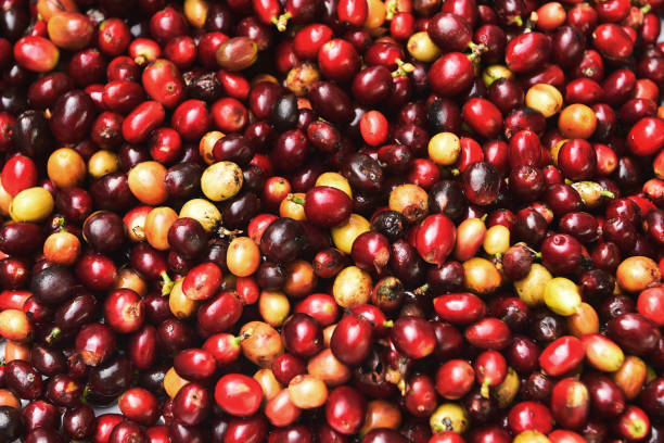 istock close up of fresh coffee beans 1478314840