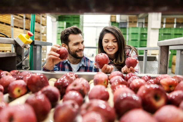 istock Two happy workers taking fresh organic apples from pile. 1478321294