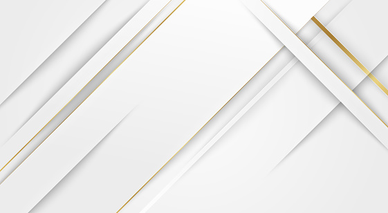 Abstract white background with golden line luxury