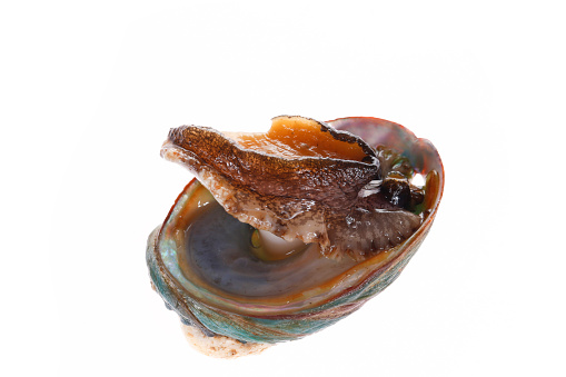 Abalone shellfish on a white background, delicious