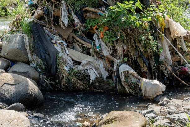 des sacs en plastique et des ordures sont entassés dans une rivière. - tube messy dirty stack photos et images de collection