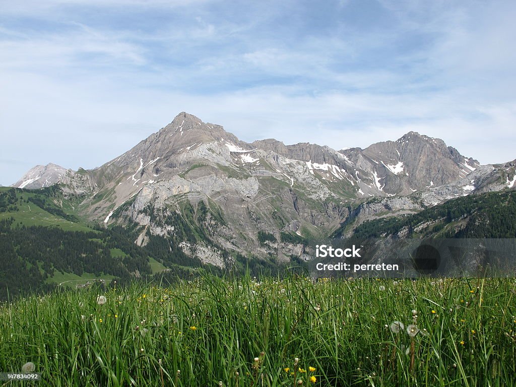 Scena estiva - Foto stock royalty-free di Alpi