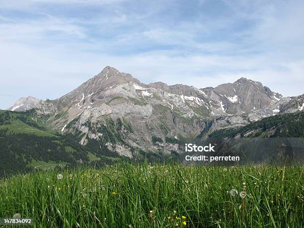 Scena Estiva - Fotografie stock e altre immagini di Alpi - Alpi, Alpi Bernesi, Ambientazione esterna