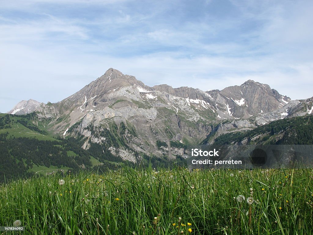 Cena de Verão - Royalty-free Alpes Europeus Foto de stock