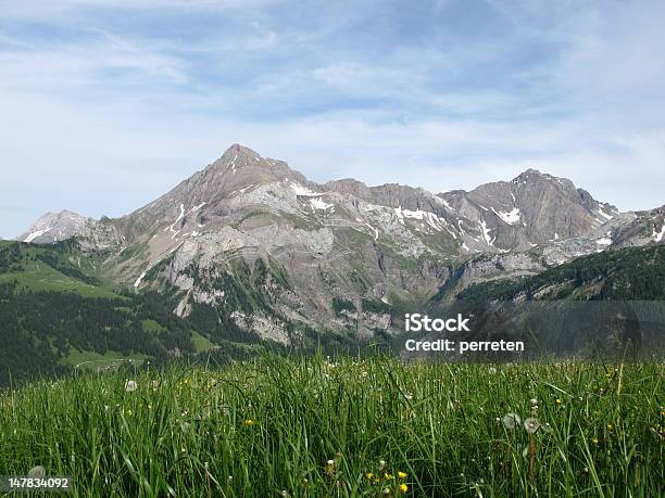 Cena De Verão - Fotografias de stock e mais imagens de Alpes Europeus - Alpes Europeus, Ao Ar Livre, Beleza natural