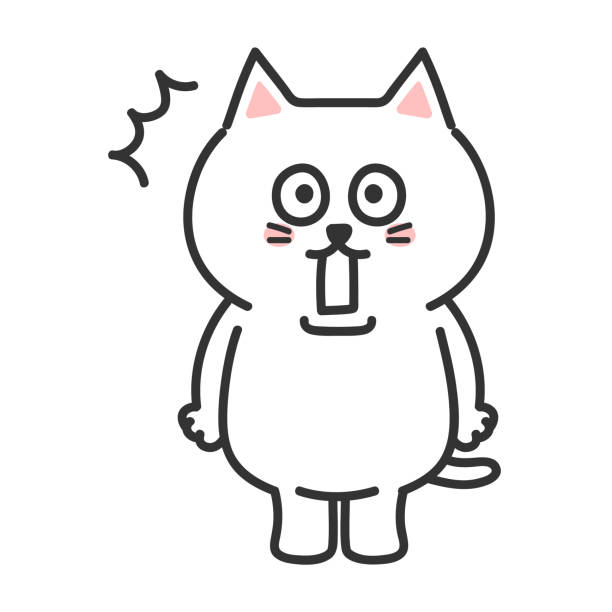 ilustrações, clipart, desenhos animados e ícones de gato branco dos desenhos animados muito surpreso. ilustração vetorial. - comic book animal pets kitten