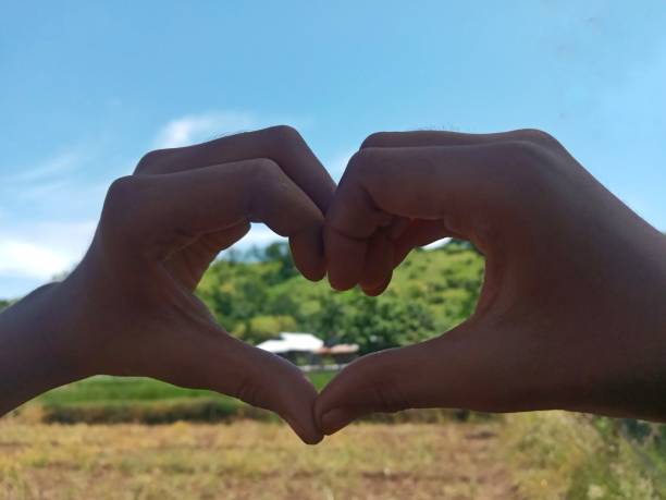 istock Artistic Hand Gestures Creating Love Sign at the Field 1478346652