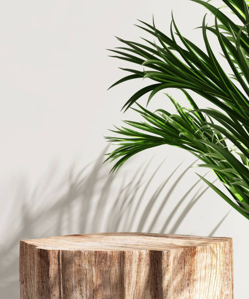 istock Minimal, natural log wood podium table in sunlight, palm leaf shadow in blank cream white wall 1478347415