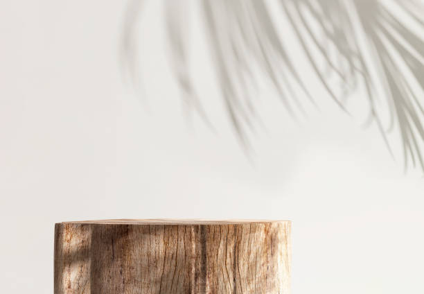 istock Minimal, natural log wood podium table in sunlight, palm leaf shadow in blank cream white wall 1478347419