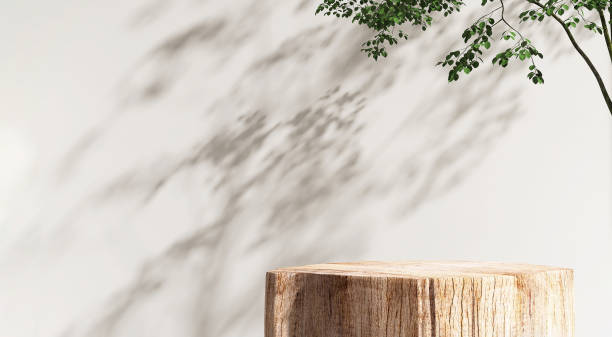istock Minimal, natural log wood podium, tropical tree in dappled sunlight, leaf shadow in blank cream white wall 1478347432