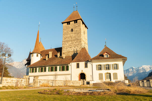castillo de spiez en el lago de thun en suiza - lake thun swiss culture berne castle fotografías e imágenes de stock