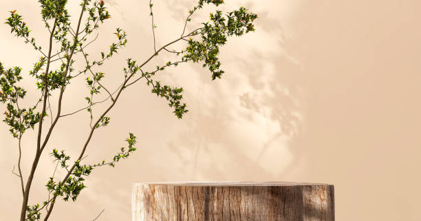 istock Minimal, natural log wood podium table, tropical tree in dappled sunlight, leaf shadow in blank brown wall 1478349300