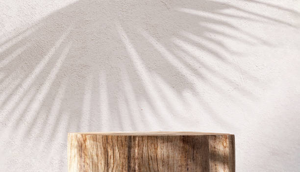 istock Minimal, natural log wood podium table in sunlight, palm leaf shadow in blank cream white wall 1478349301