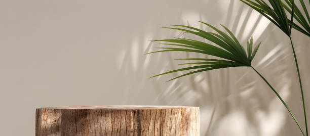 istock Natural log wood podium table, green tropical palm tree in sunlight, leaf shadow on beige wall 1478349317