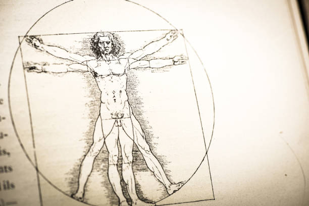 istock Leonardo's sketches and drawings: Vitruvian Man 1478350641