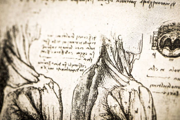 istock Leonardo's sketches and drawings: anatomy arm muscles 1478350837