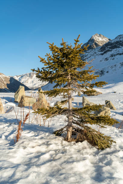 istock Snow covered mountain panorama on the Julier pass in Switzerland 1478352927