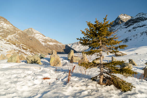 istock Snow covered mountain panorama on the Julier pass in Switzerland 1478352954