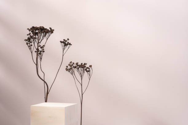 istock Wooden cube podium with dry plant on light beige background 1478356757