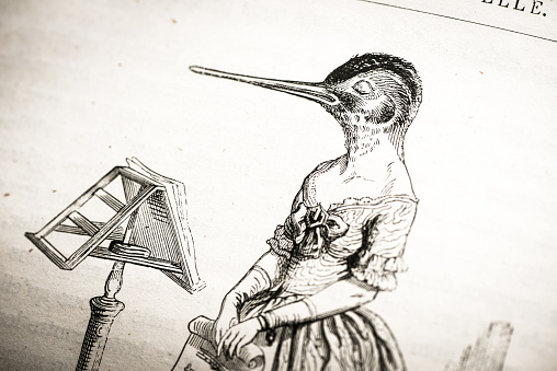 Brid Singer Humanized Animals Illustrations Bird Singer Stock Illustration ...