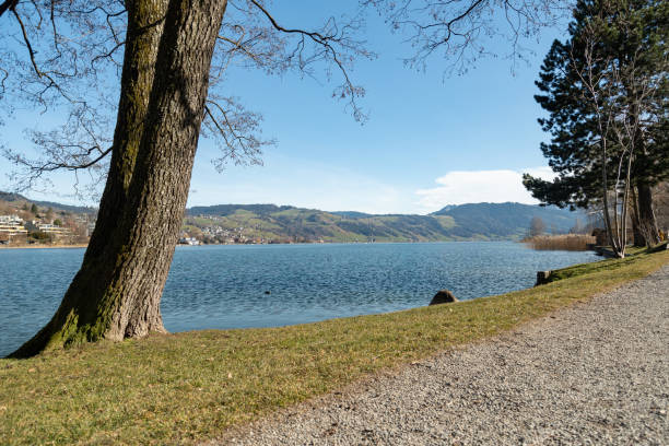 istock Natural scenery from the lake Aegerisee in Switzerland 1478357708