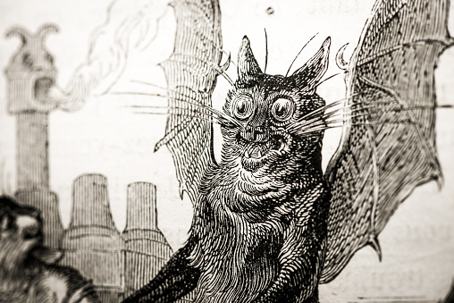 Humanized animals illustrations: Angel and devil cat