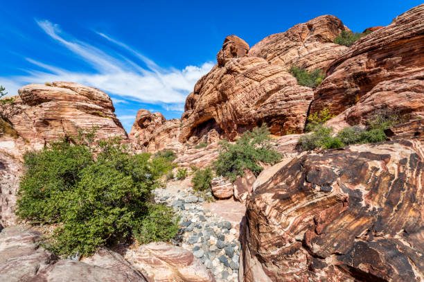 Red Rock Canyon national conservation area near Las Vegas, Nevada, USA