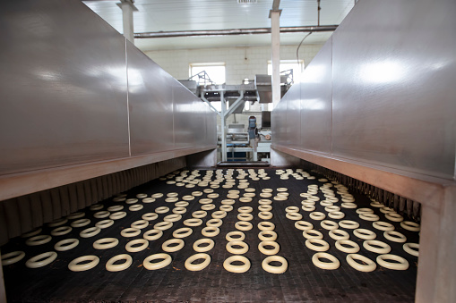 On the industrial conveyor of the bakery, donuts are dried before being sold.
