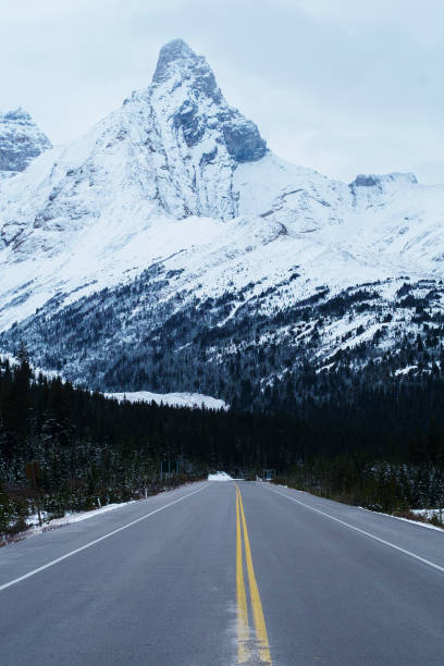 istock Canadian Road and Landscape 1478370602