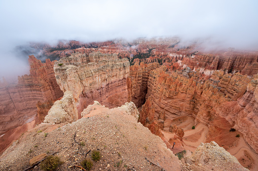 View of the Hoodoos in Bryce Canyon National Park in a foggy and cloudy day. Utah. United States of America