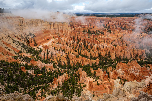 View of the Hoodoos in Bryce Canyon National Park in a foggy and cloudy day. Utah. United States of America