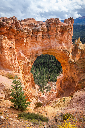 Natural Bridge Rock Formation at Bryce Canyon National Park With in autumn, Utah, USA