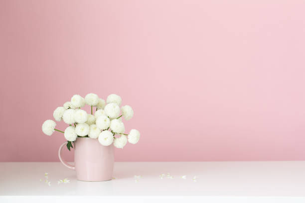 istock white  chrysanthemums in pink cup on pink background 1478372365