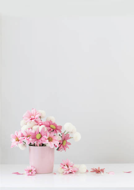 istock white and pink  chrysanthemums in pink vase on white background 1478372374