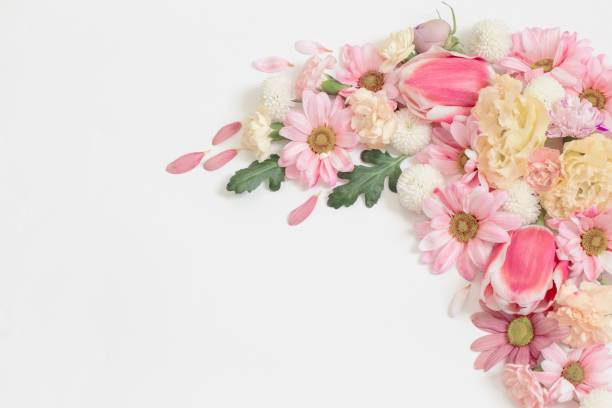 istock frame of flowers on white background 1478372403