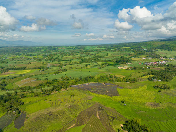 istock Agricultural land and mountains view from above. 1478372420