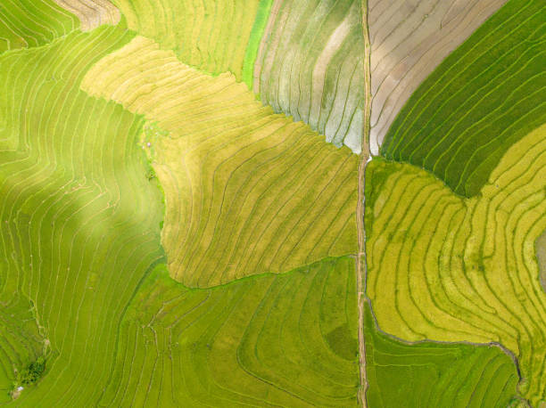 istock Farmland in the Philippines. 1478372547