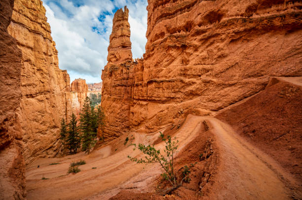 view of the Navajo Loop Trail, Bryce Canyon, Utah, USA