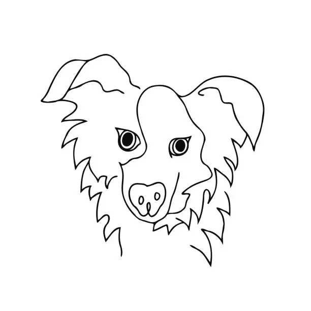 Vector illustration of Dog Line Art Puppy Australian Shepherd Face Simple Cartoon Clipart