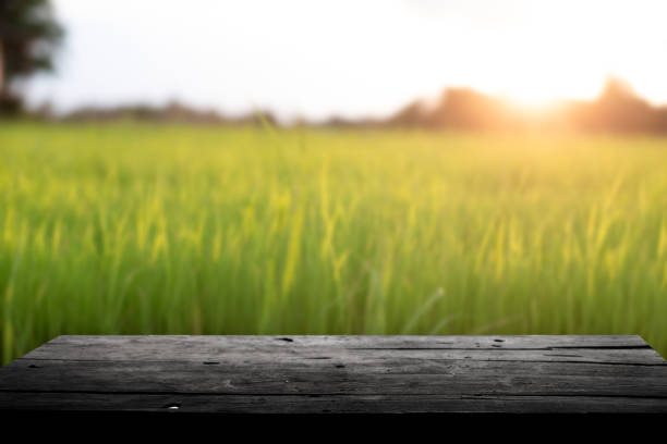 istock Empty wooden board on table top and blur rice background, mock up for display of goods. 1478372779