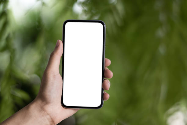 istock Man holding smartphone with blank screen, close-up of hands. Space for text and blur inside abstract green background with natural bokeh. 1478372809