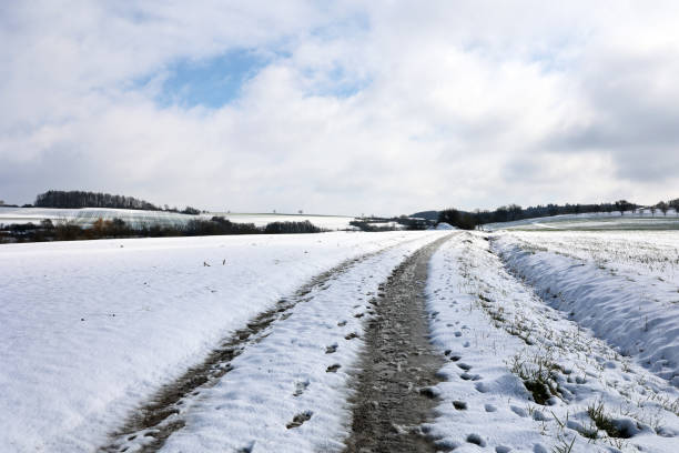 istock Winter landscape with freshly fallen snow in the morning 1478374566