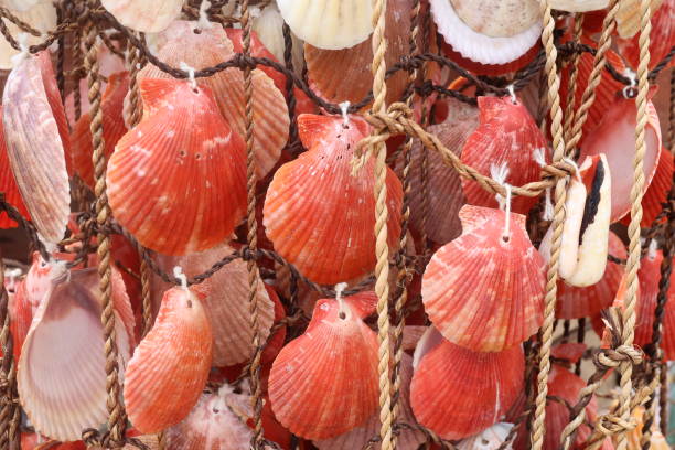 istock Seashell decoration for sale in Croatia 1478374641