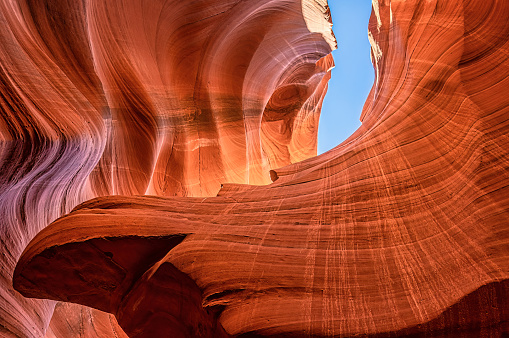 Antelope Canyon, Arizona.  A natural formation within the upper canyon shaped like a bear.  Named by the Navajo.