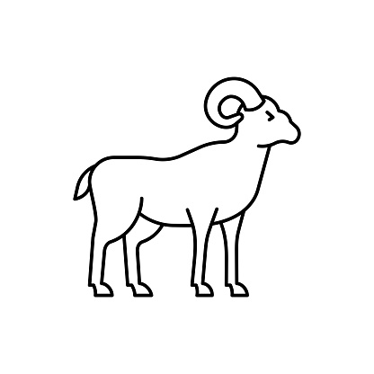 Bighorn sheep icon. High quality black vector illustration.